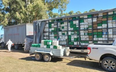CampoLimpio, la asociación que trabaja para recuperar envases vacíos y así cuidar el medio ambiente en el campo argentino
