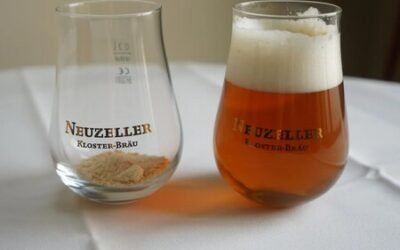 Una empresa alemana creó la primera cerveza en polvo