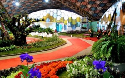 La Fiesta de la Flor cumple 60 años y el predio será preparado especialmente para el aniversario