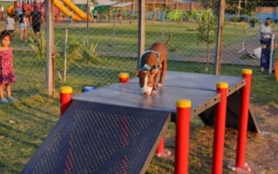 Los perros ya tienen su propio espacio