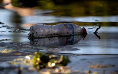 Descubren nuevos métodos para reciclar deshechos de plástico