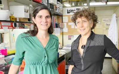 Un hallazgo de dos investigadoras del Conicet allana el camino hacia una vacuna contra el dengue