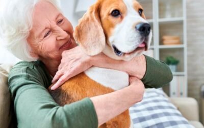 Proponen una ley que apruebe las visitas de mascotas en los geriátricos de CABA