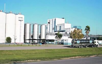 Una fabrica de quesos volvió a producir luego de tres años