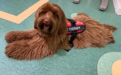 Kira, la doctora de cuatro patas que cuida y entretiene a niñas y niños internados