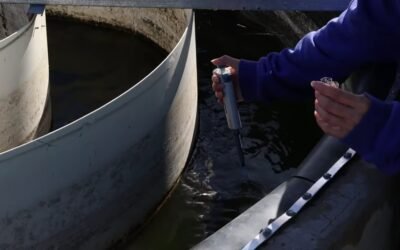 Inauguró una planta que utilizará microalgas para limpiar el agua en Aldo Bonzi