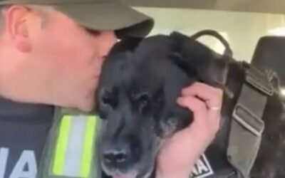 El retiro de la perra de Gendarmería: “Ahora va a hacer vida de familia”