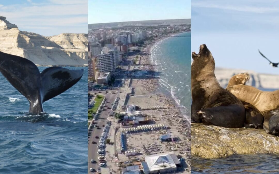 Puerto Madryn no es solo ballenas