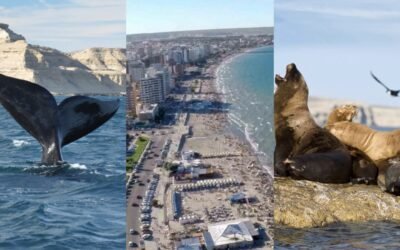 Puerto Madryn no es solo ballenas