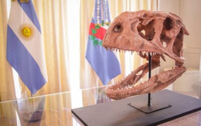 Descubrieron restos de dinosaurios carnívoros en La Rioja
