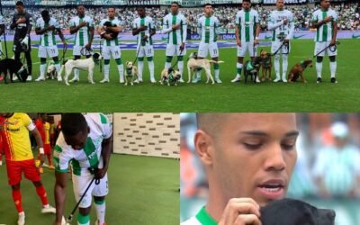 Atlético Nacional de Colombia se sumó a una campaña para la adopción de perros