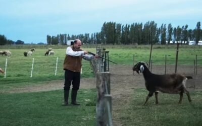 El increíble elogio de un director de Hollywood a Cuando acecha la maldad