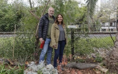 Transformaron un espacio abandonado de la ciudad en un oasis verde
