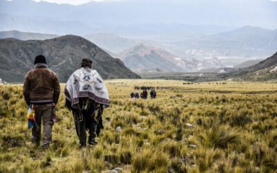 Descubrimiento histórico: escaleras incas en La Rioja