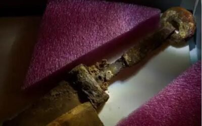 Los siete hallazgos arqueológicos más asombrosos del 2023