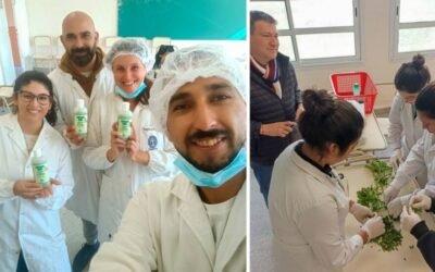 Científicos del Conicet junto con alumnos de una escuela tucumana desarrollaron un repelente natural