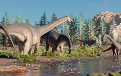 Descubren una nueva especie de dinosaurio herbívoro en Neuquén