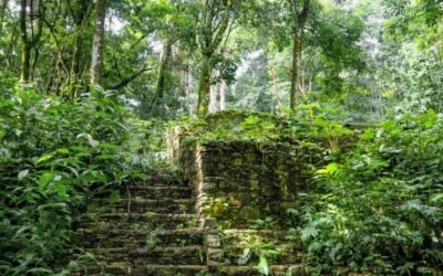Hallaron ciudades perdidas en la selva amazónica