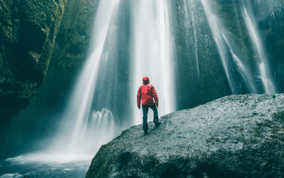 Conocé las 10 noticias más positivas sobre el medio ambiente que nos dejó el 2023