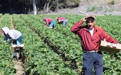 Una buena noticia para los trabajadores rurales temporarios