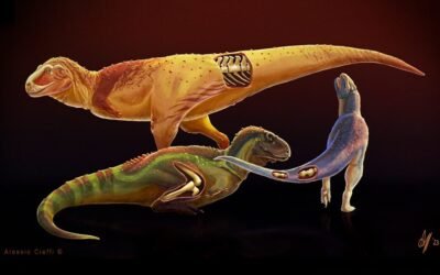 Descubren enfermedades en dinosaurios depredadores que vivieron en la Patagonia