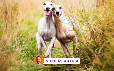 Un milagro de discreción y elegancia