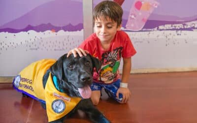 El Garrahan empleó la terapia asistida con perros por primera vez