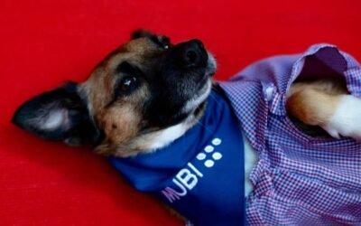 Vuelve el Festival de Canes, el evento que mezcla cine con perros
