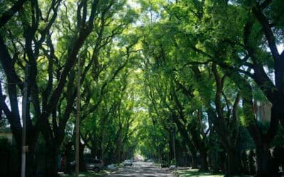 La primera “Ciudad Jardín” de Sudamérica cumple 80 años