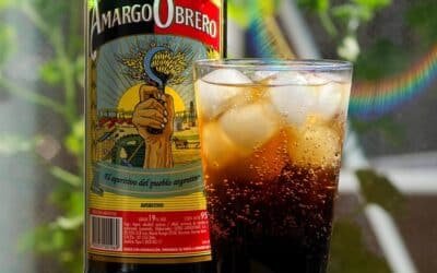 El Amargo Obrero entre los mejores licores herbales del mundo