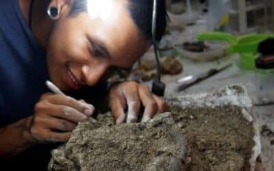 Perú: hallaron el delfín de río más grande de la historia