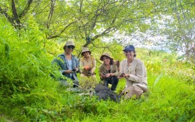 Una iniciativa rescata bosques andinos en Argentina