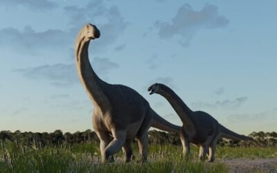 Descubren un titanosaurio que vivió hace 66 millones de años en Chubut
