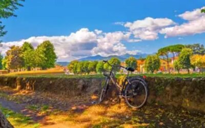 Los 10 consejos sustentables para cuidar el planeta desde el hogar propio