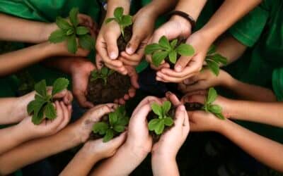 Educación ambiental: Ofrecen materiales gratuitos para trabajar en el aula