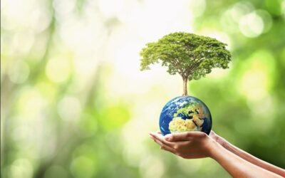 Google lanzó un videojuego para celebrar el Día de la Tierra