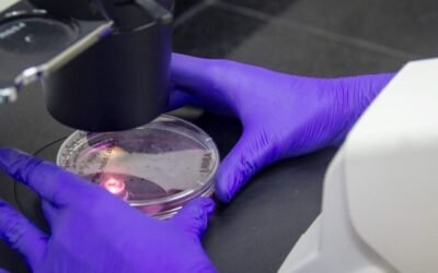 Científicos del Conicet patentaron una nueva molécula para combatir el Parkinson