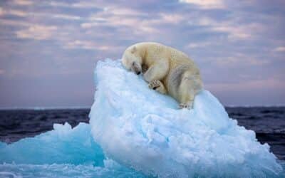 Día Internacional de la Fotografía: por qué se celebra y cuáles fueron las mejores imágenes del 2023