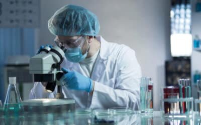 Un grupo de científicos logró crear un ratón con dos padres machos