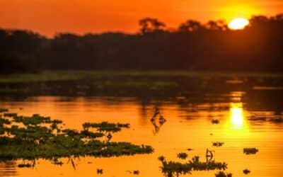 Buscan crear una escuela secundaria con orientación en pesca