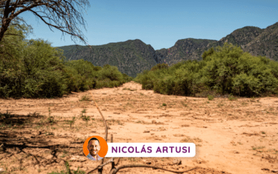 A beber que se acaba el mundo