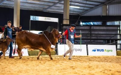 Río Uruguay Seguros, patrocinador de La Rural