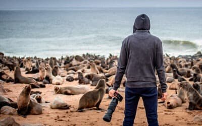 Un concurso literario y de fotografía con mirada en el medio ambiente