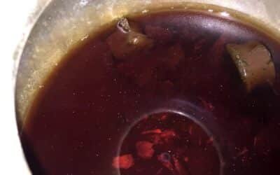 Historia pura: encontraron el vino más antiguo del mundo en España