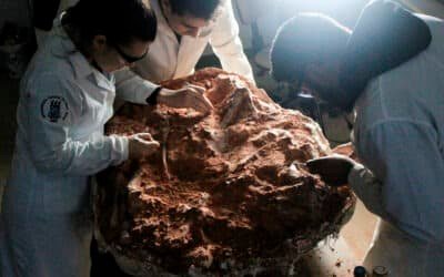 Descubrieron uno de los fósiles de dinosaurios más antiguos del mundo en Brasil