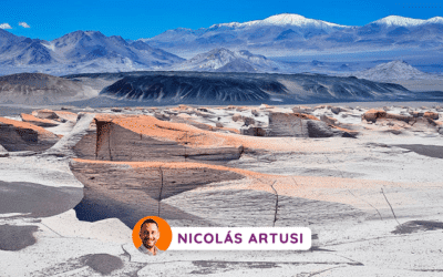 La revolución del oro blanco