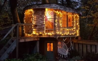 Construyó una casa en el árbol con material reciclado