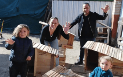 Una familia hace cuchas con cajones de naranjas para perros callejeros