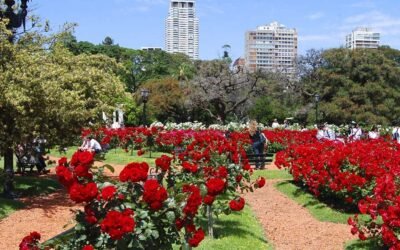 Se realizará la poda del rosedal en los bosques de Palermo