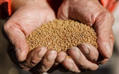 Una marca argentina de mostaza fue reconocida en Estados Unidos